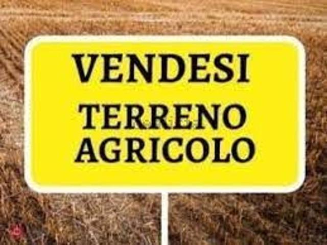 Terreno in vendita a Unione Terre e Fiumi, Copparo