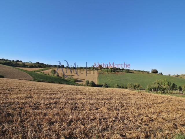 Terreno in vendita a Marche, Fermo