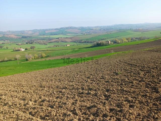 Terreno in vendita a Contrada Schito, Marche