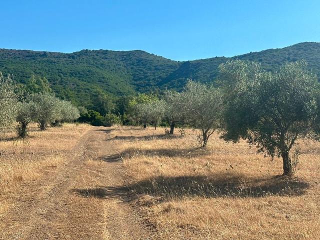 Terreno in vendita a San Vito, Sardigna/Sardegna