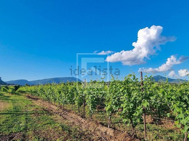 Terreno in vendita a Cavaion Veronese, Veneto