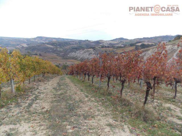 Terreno in vendita a Trivio, Ripatransone