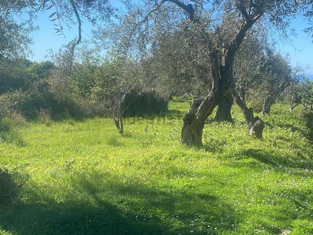 Terreno in vendita a Saponara, Sicilia