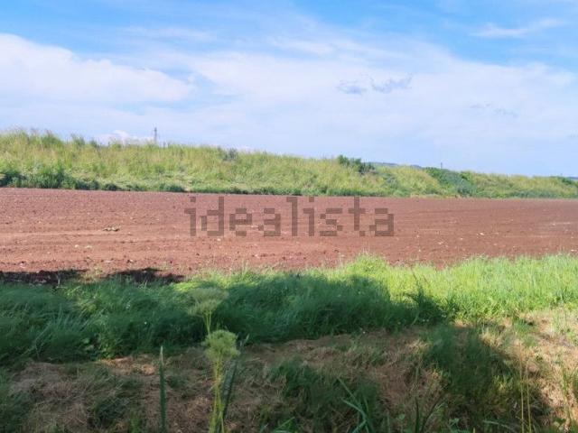 Terreno in vendita a Monteforte D'alpone, Veneto