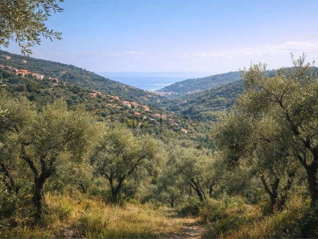 Terreno in vendita a Diano San Pietro, Liguria