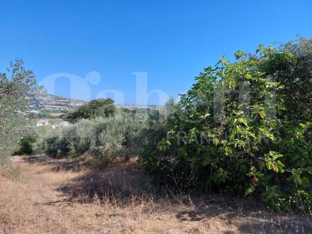 Terreno in vendita a San Giovanni II, Controguerra