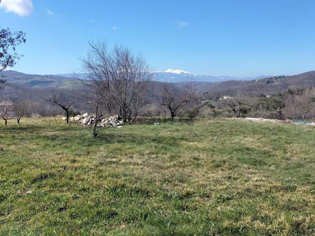Terreno in vendita a Ferrazzano, Molise