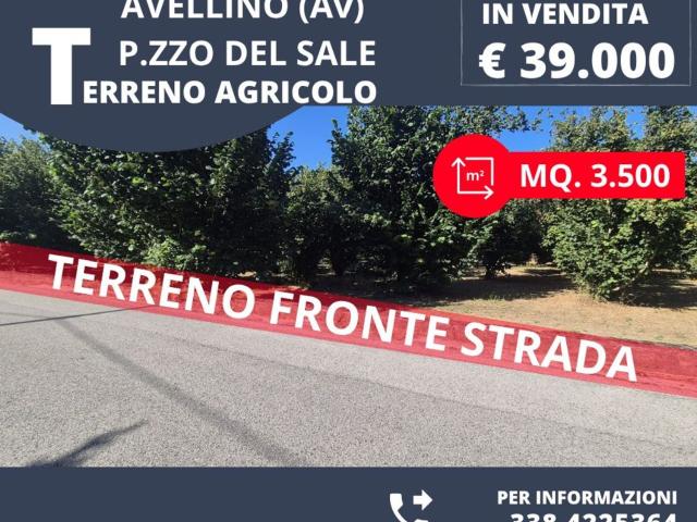 Terreno in vendita a Grottolella, Campania