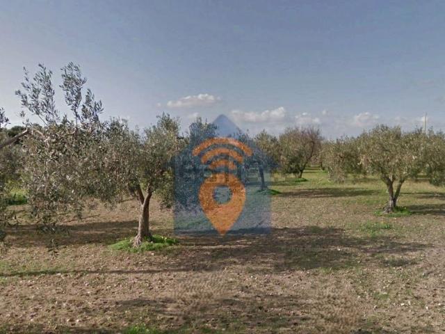 Terreno in vendita a Selinunte, Castelvetrano