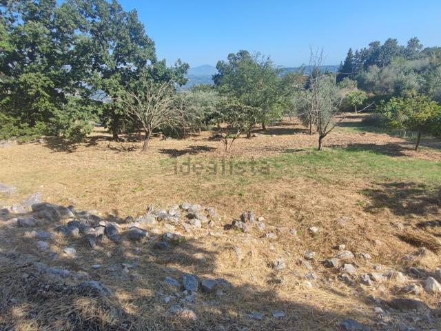 Terreno in vendita a Ausonia, Lazio
