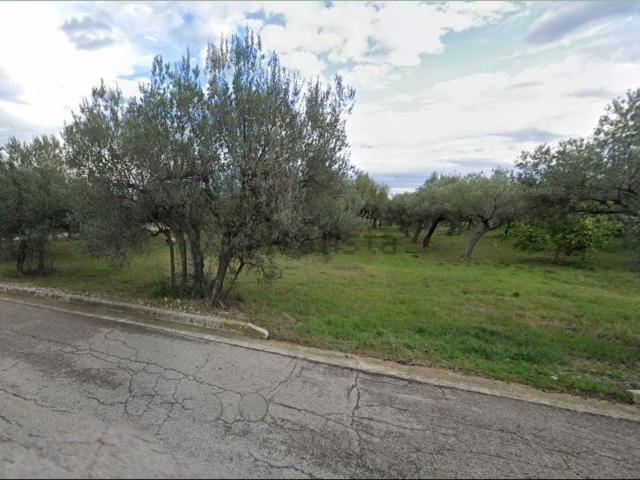 Terreno in vendita a Treglio, Abruzzo