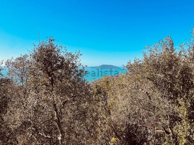 Terreno in vendita a La Serra, Lerici