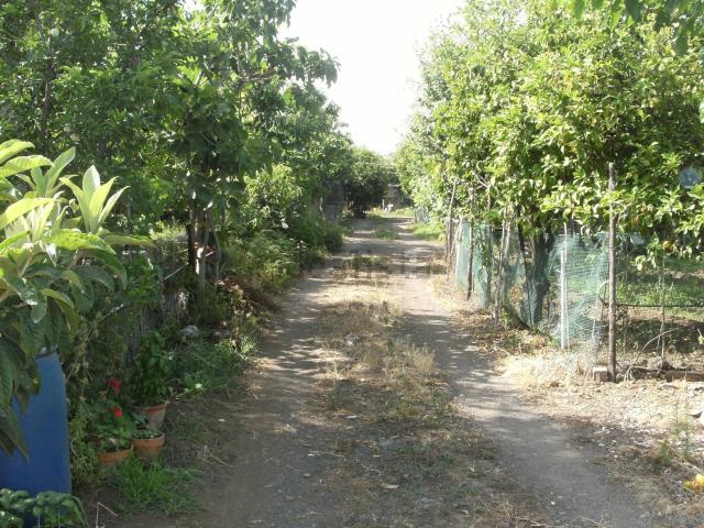 Terreno in vendita a Giarre, Sicilia