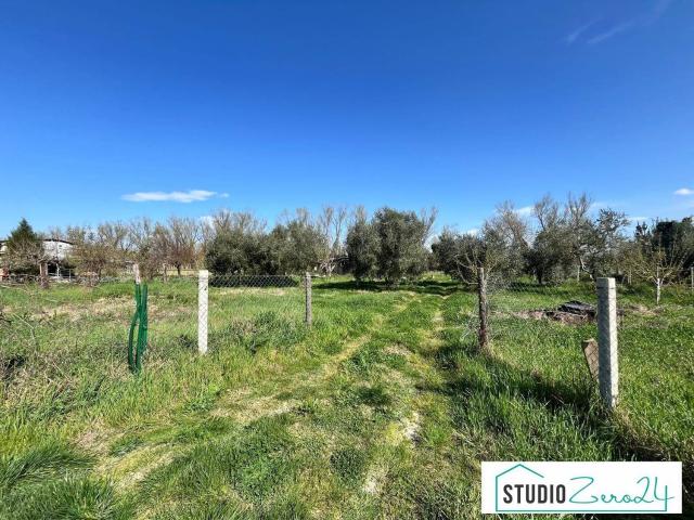 Terreno in vendita a Orte, Lazio