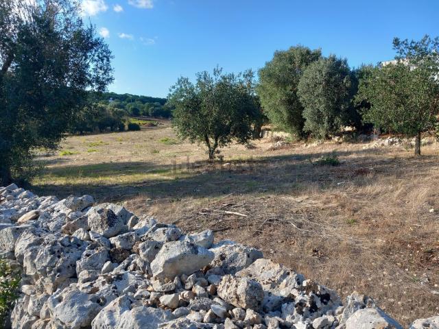 Terreno in vendita a Ostuni, Brindisi