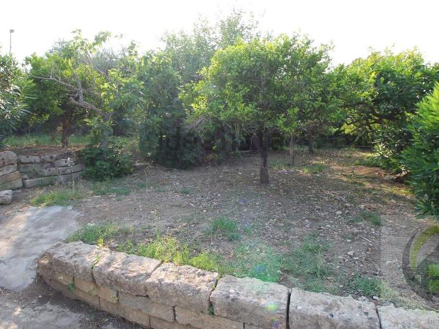 Terreno in vendita a Scordia Soprana, Scordia