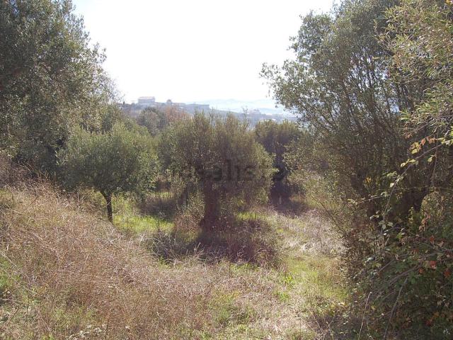 Terreno in vendita a Belsito, Roseto Degli Abruzzi