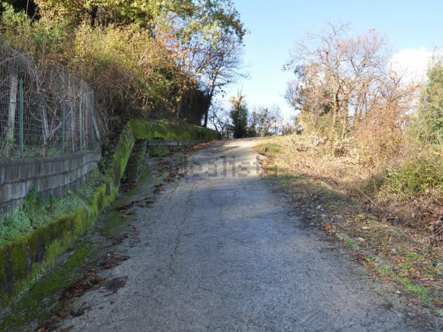Terreno in vendita a Calabria, Cosenza