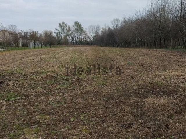 Terreno in vendita a Precenicco, Friuli-Venezia Giulia