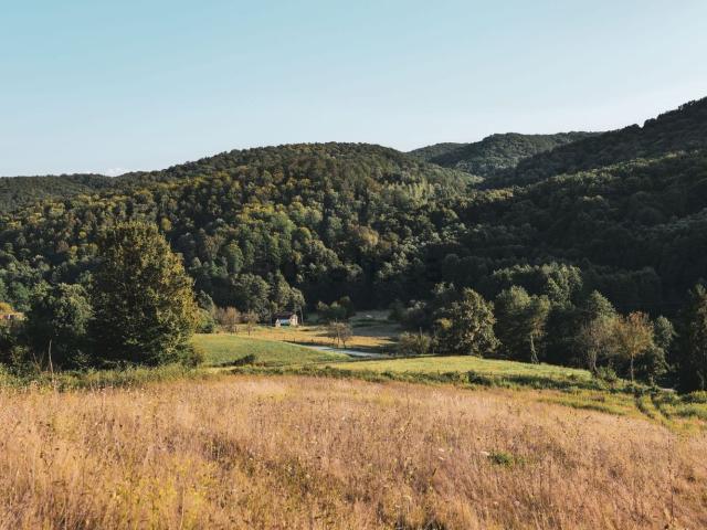 Terreno in vendita a Pescheria, Calabria