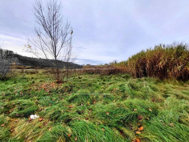 Terreno in vendita a San Gimignano, Toscana