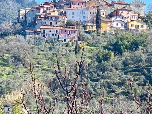 Terreno in vendita a Unione di comuni Montana Lunigiana, Fosdinovo