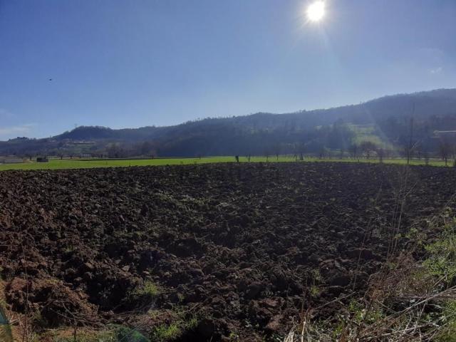 Terreno in vendita a Castelnovo, Isola Vicentina