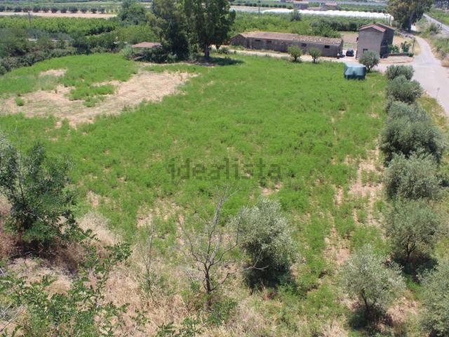 Terreno in vendita a Calabria, Cosenza