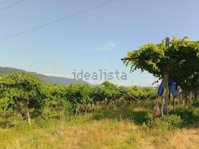 Terreno in vendita a Nord-Est, Brenzone