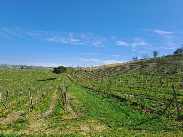 Terreno in vendita a Piemonte, Asti