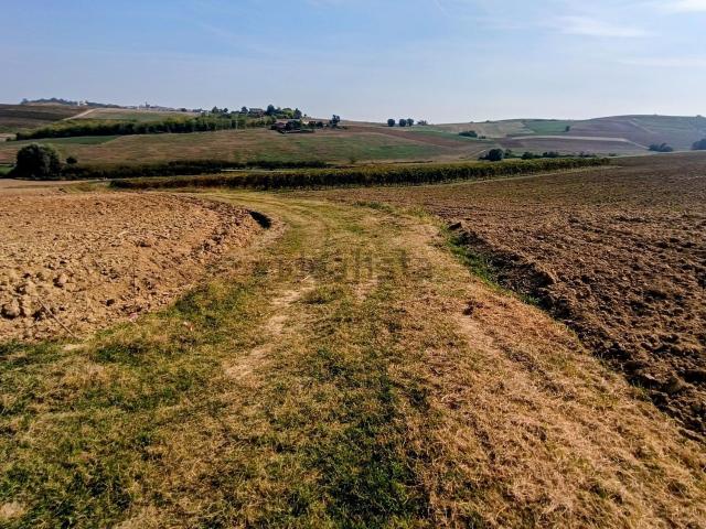 Terreno in vendita a Casorzo Monferrato, Asti