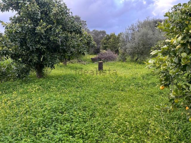 Terreno in vendita a Calabria, Reggio Calabria