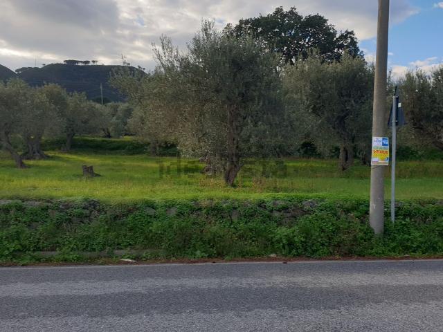 Terreno in vendita a VI Circoscrizione, Messina
