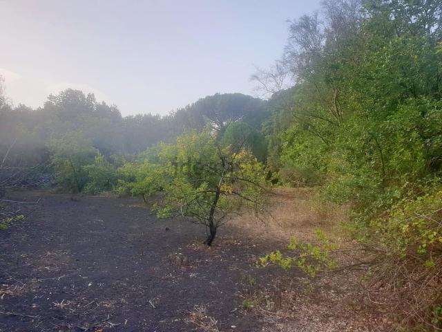 Terreno in vendita a Nicolosi, Catania
