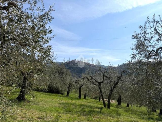 Terreno in vendita a Casperia, Lazio