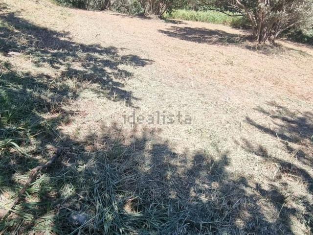 Terreno in vendita a Calabria, Catanzaro
