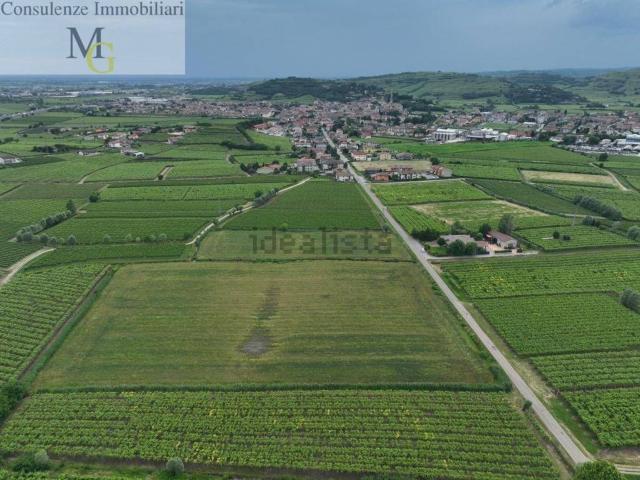 Terreno in vendita a Monteforte D'alpone, Veneto