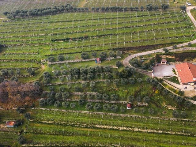 Terreno in vendita a Negrar, Veneto