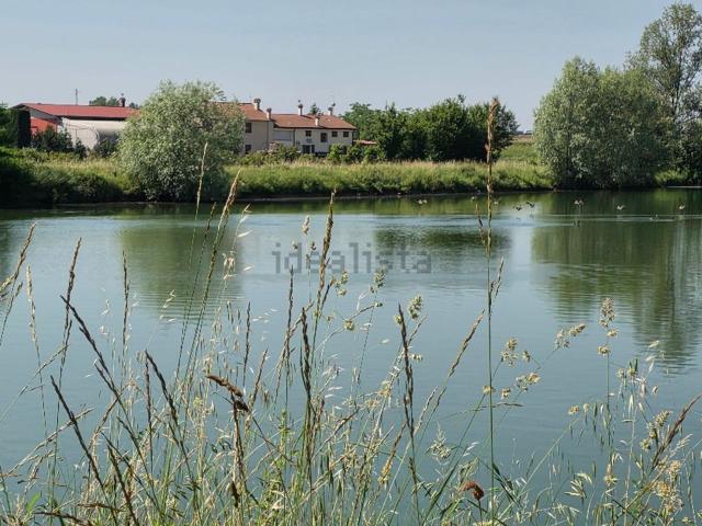 Terreno in vendita a Grisignano Di Zocco, Veneto