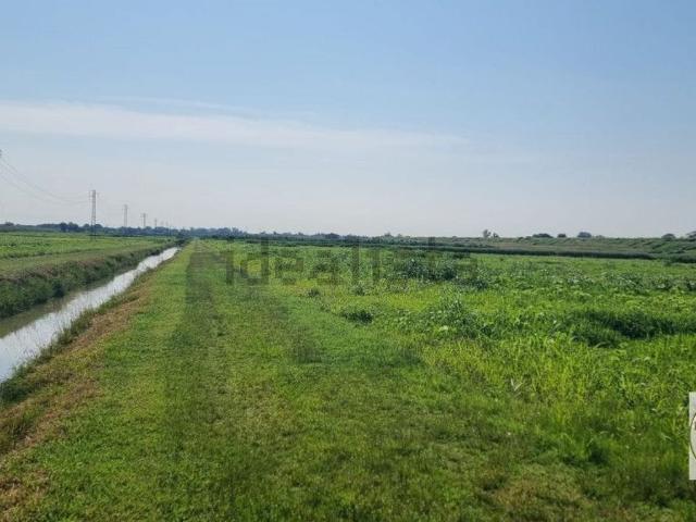 Terreno in vendita a Loreo, Rovigo