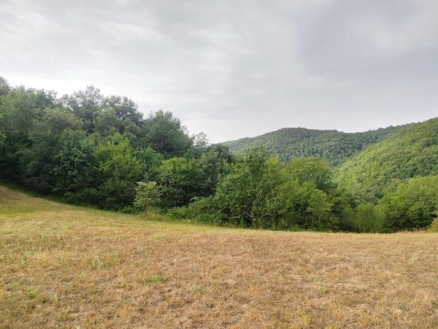 Terreno in vendita a Torricella Sabina, Lazio