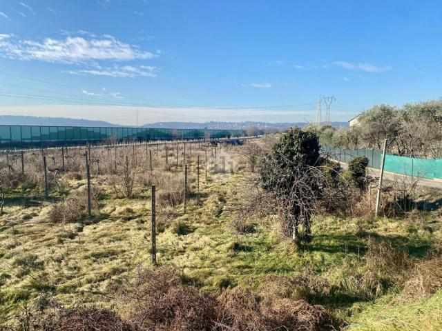 Terreno in vendita a Bussolengo, Veneto
