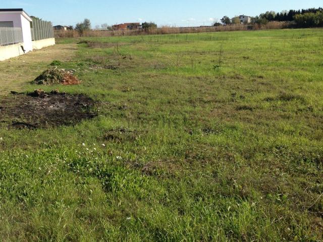 Terreno in vendita a Passovecchio, Calabria