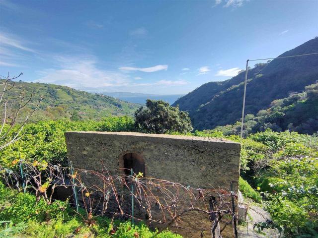 Terreno in vendita a Fiumedinisi, Sicilia