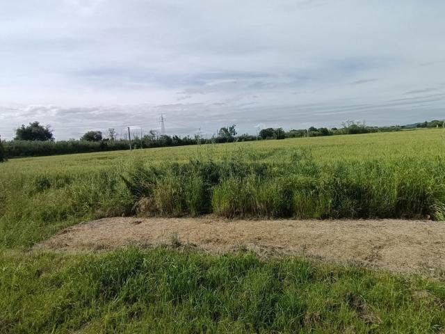 Terreno in vendita a Marche, Ancona