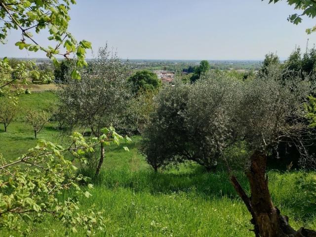 Terreno in vendita a Marostica, Veneto