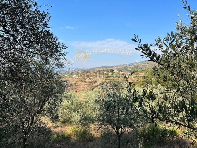 Terreno in vendita a San Remo, Liguria