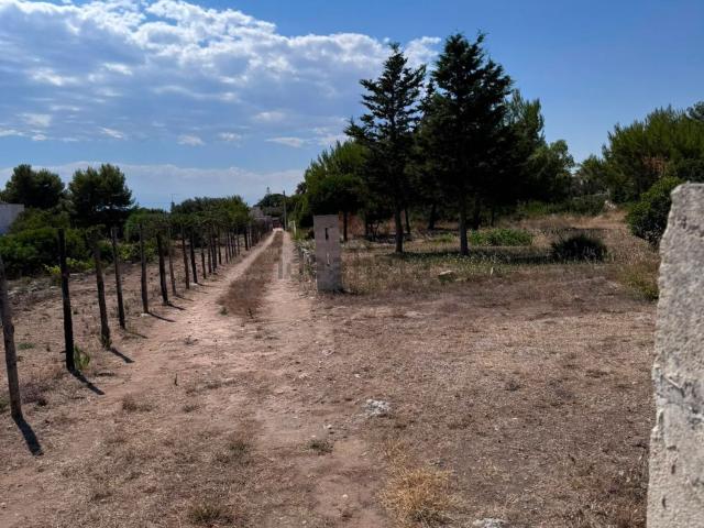 Terreno in vendita a Puglia, Taranto