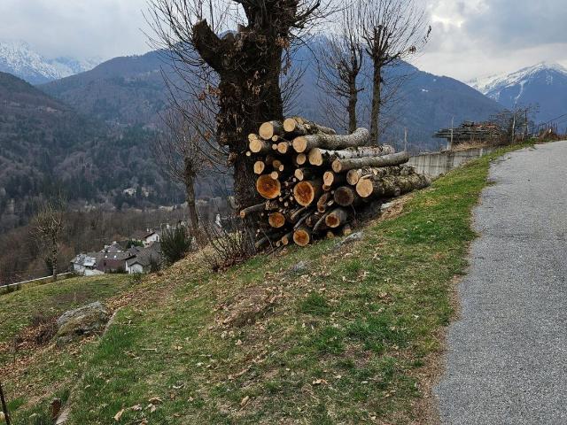 Terreno in vendita a Piemonte, Verbano-cusio-ossola