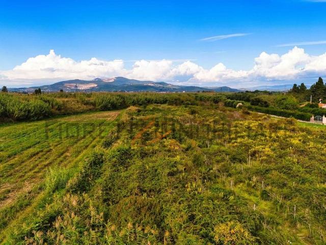 Terreno in vendita a Piombino, Toscana